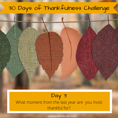 30 Day Thankful Challenge - Day 3